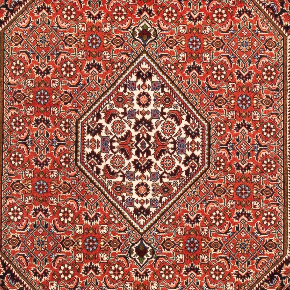 Tappeto Persero - Bidjar - 169 x 113 cm - rosso