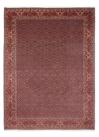 Tappeto Persero - Bidjar - 337 x 260 cm - blu scuro