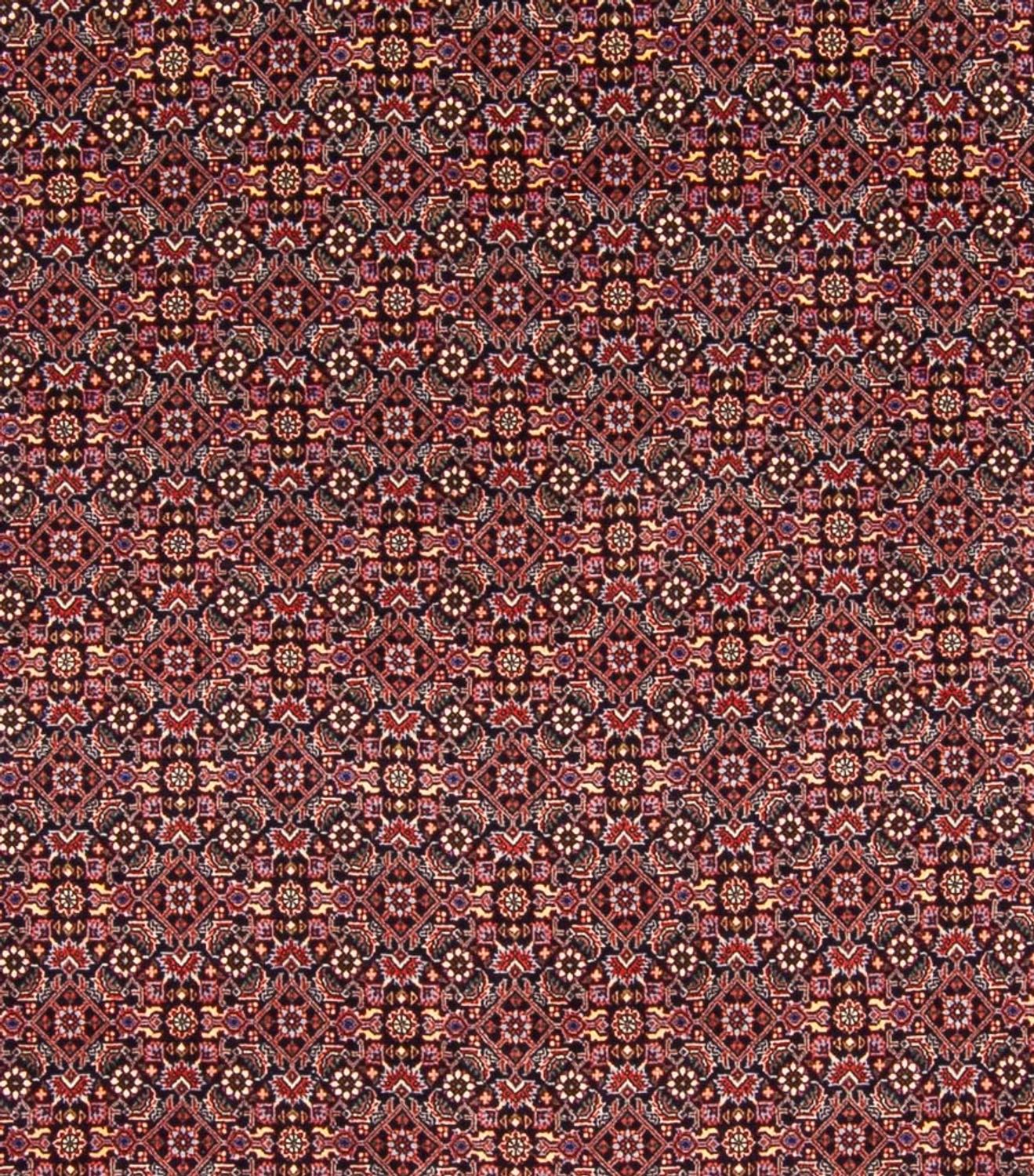 Tappeto Persero - Bidjar - 337 x 260 cm - blu scuro