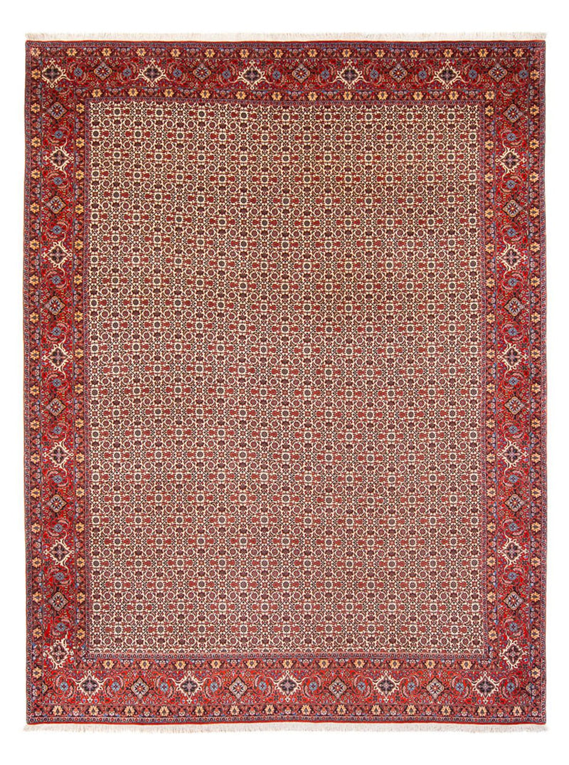 Tappeto Persero - Bidjar - 343 x 260 cm - crema