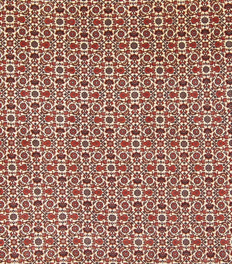 Tappeto Persero - Bidjar - 343 x 260 cm - crema