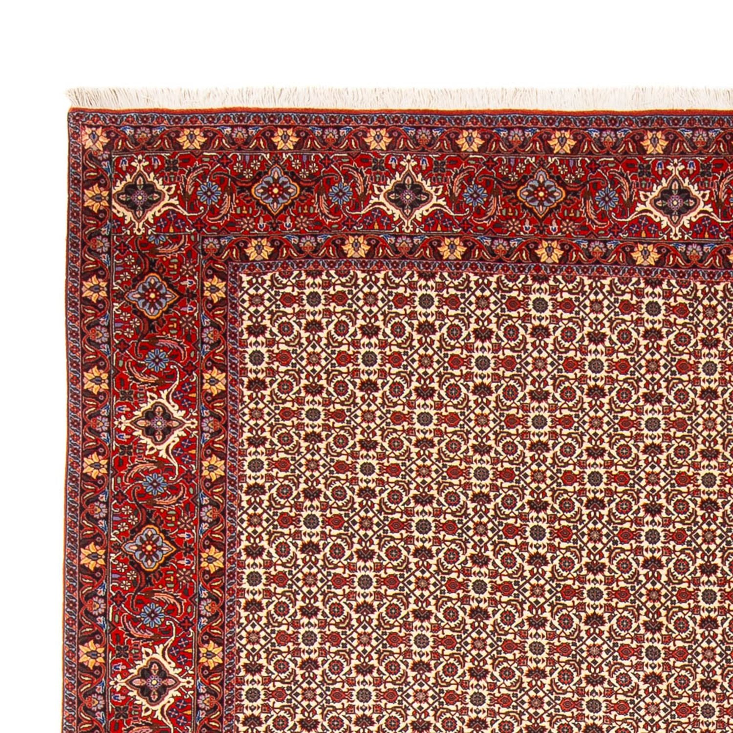 Tappeto Persero - Bidjar - 343 x 260 cm - crema