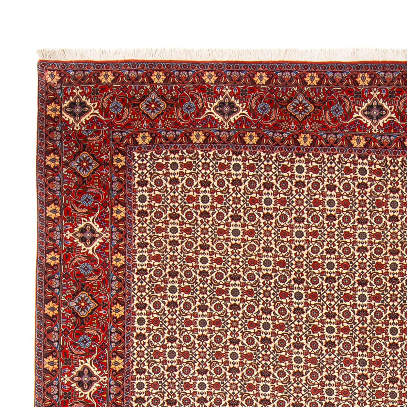 Bidjar - Bukan Tappeto 343x260cm - Tappeto persiano