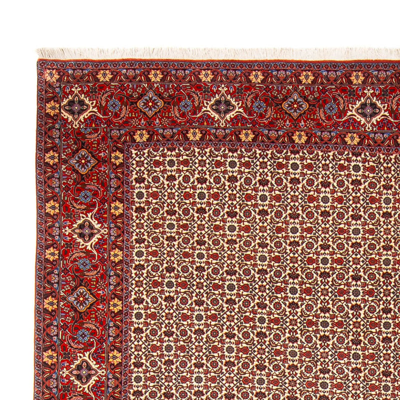 Tappeto Persero - Bidjar - 343 x 260 cm - crema