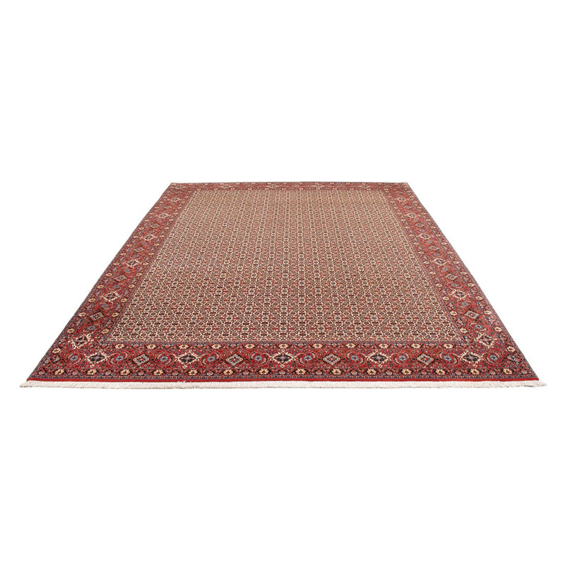 Tappeto Persero - Bidjar - 343 x 260 cm - crema