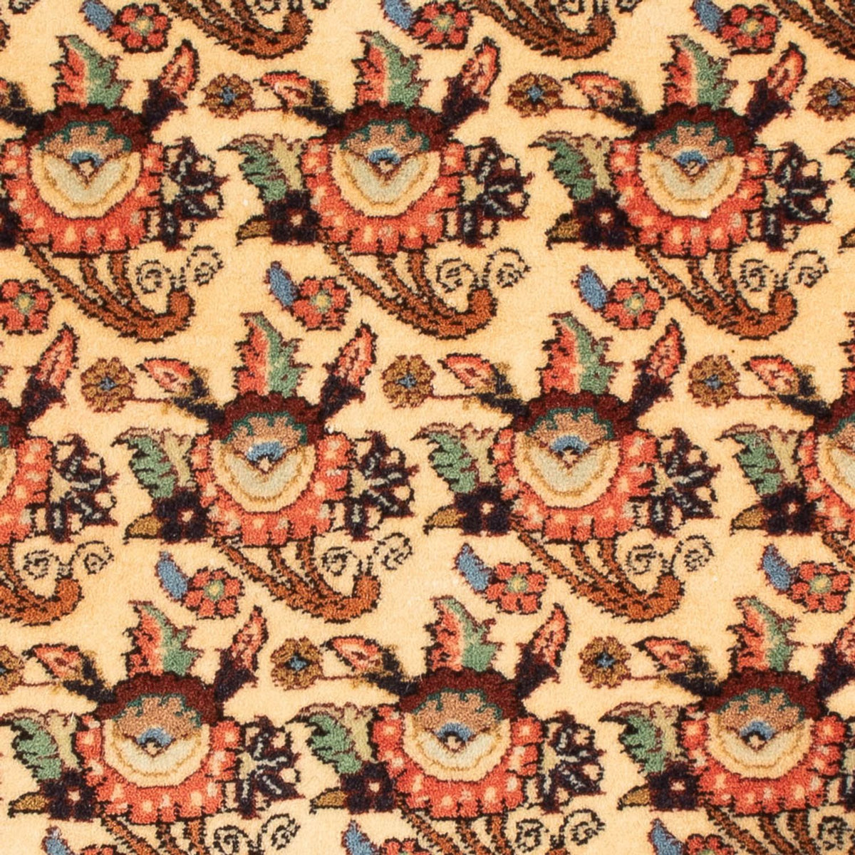 Tappeto Persero - Bidjar - 90 x 73 cm - crema