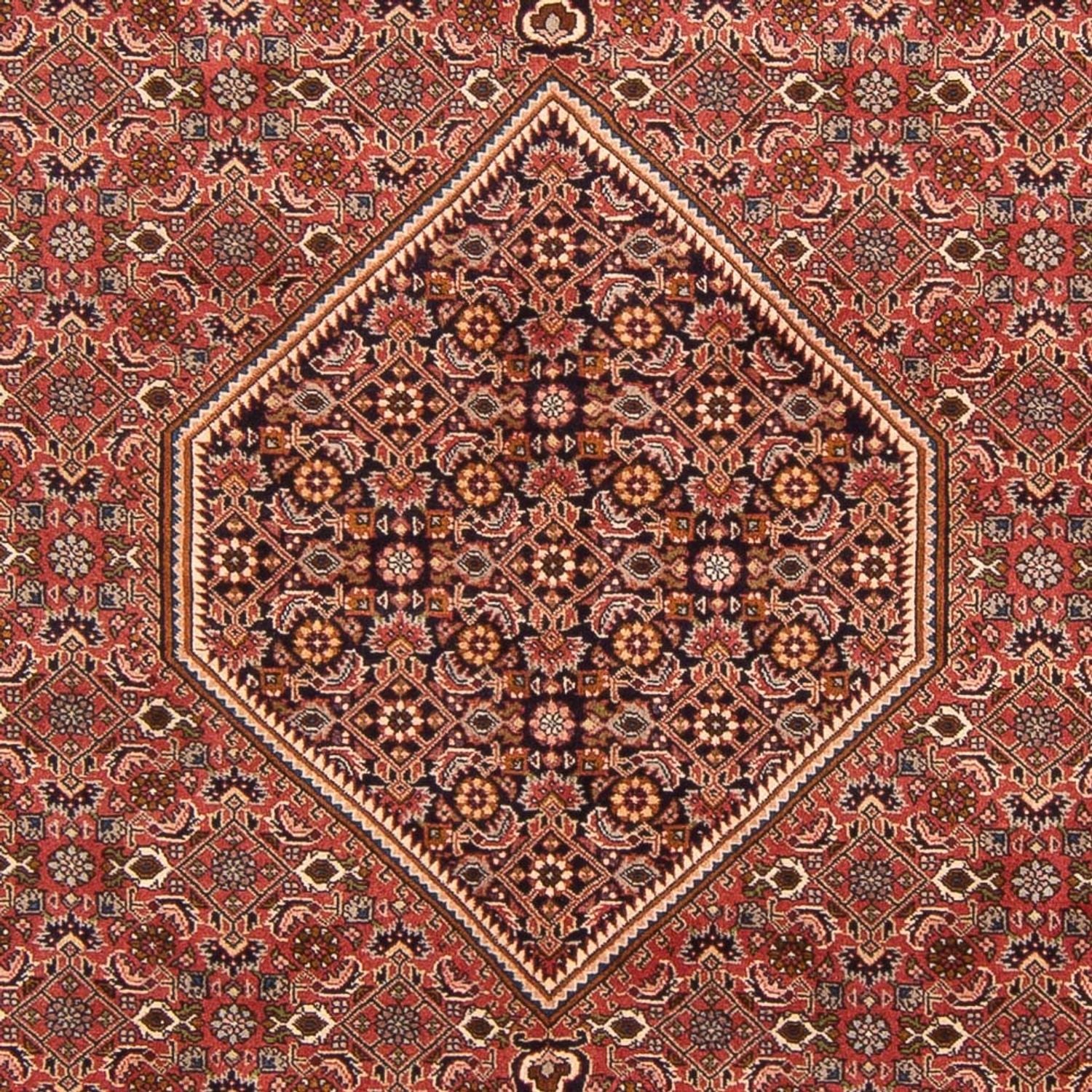 Tappeto Persero - Bidjar - 297 x 196 cm - rosso
