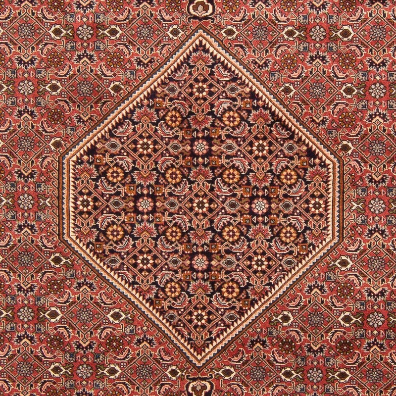 Tappeto Persero - Bidjar - 297 x 196 cm - rosso