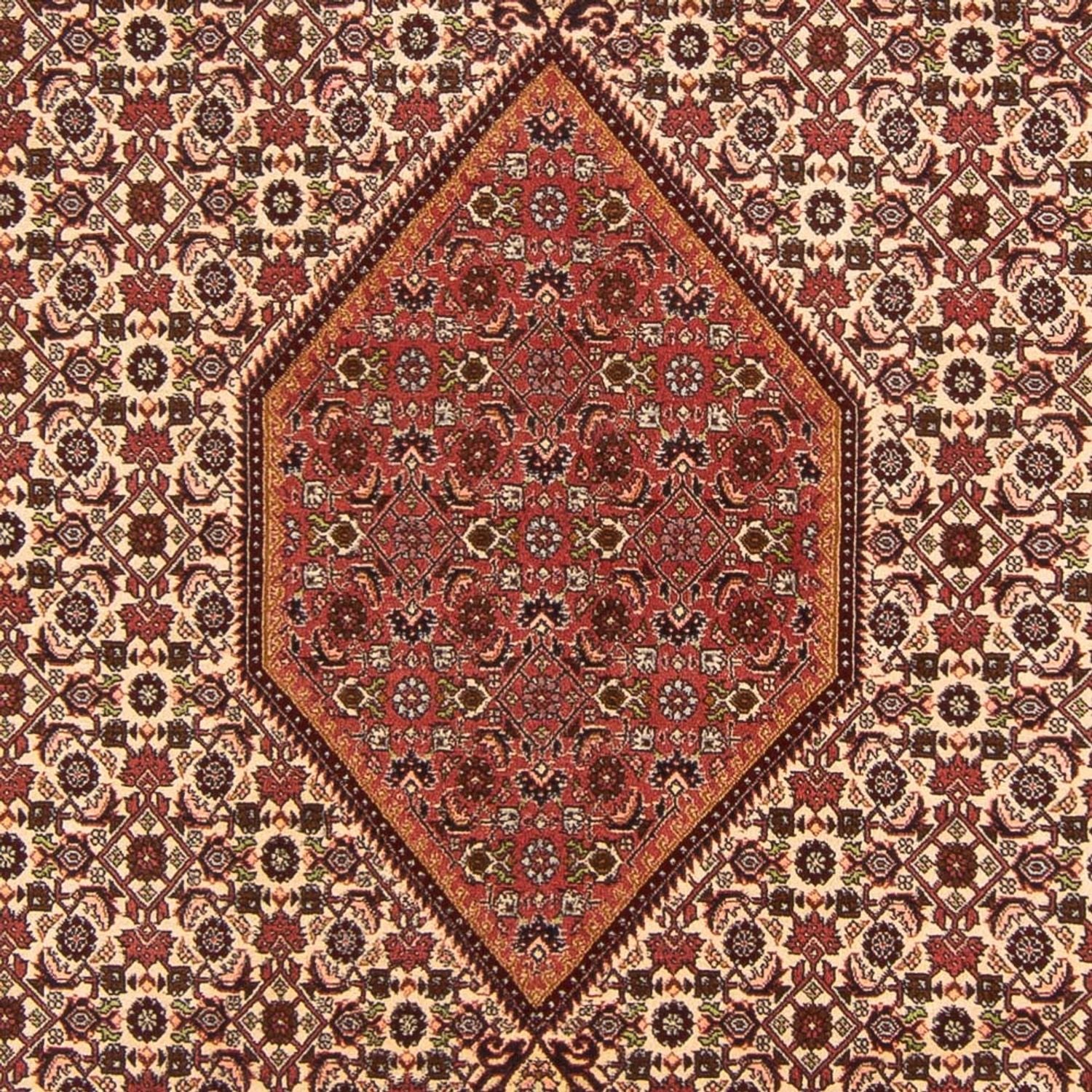 Tappeto Persero - Bidjar - 288 x 200 cm - rosso