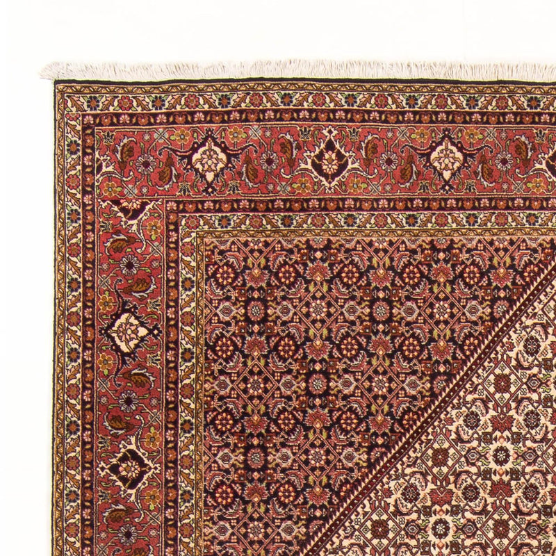 Tappeto Persero - Bidjar - 288 x 200 cm - rosso