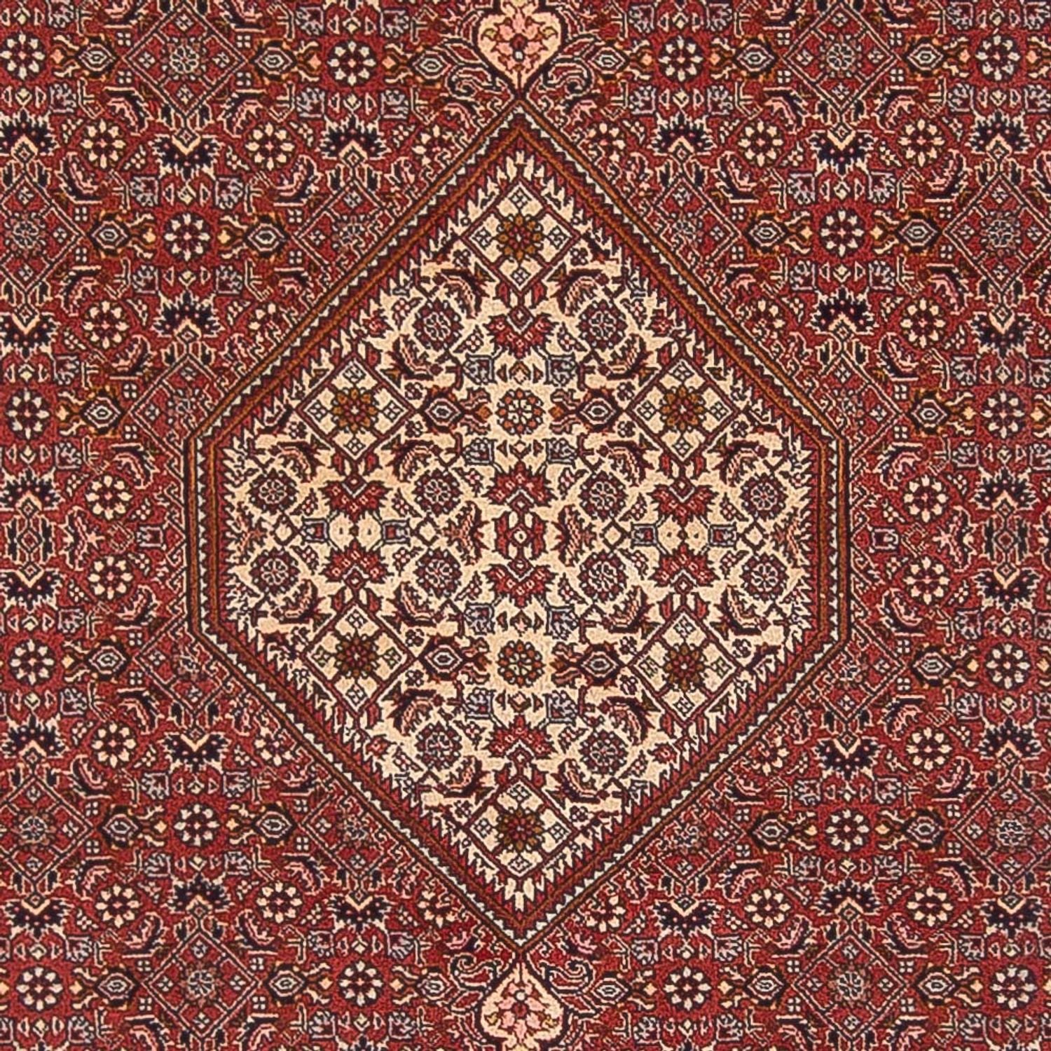 Tappeto Persero - Bidjar - 291 x 197 cm - rosso