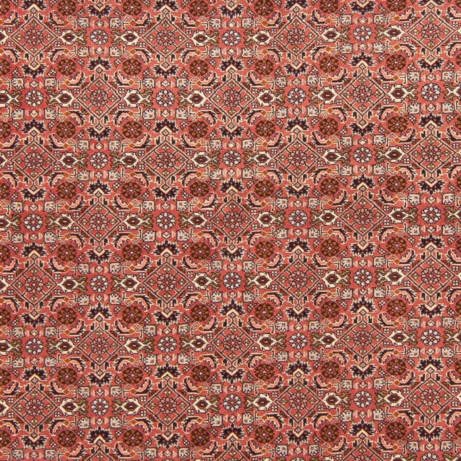 Tappeto Persero - Bidjar - 288 x 202 cm - rosso