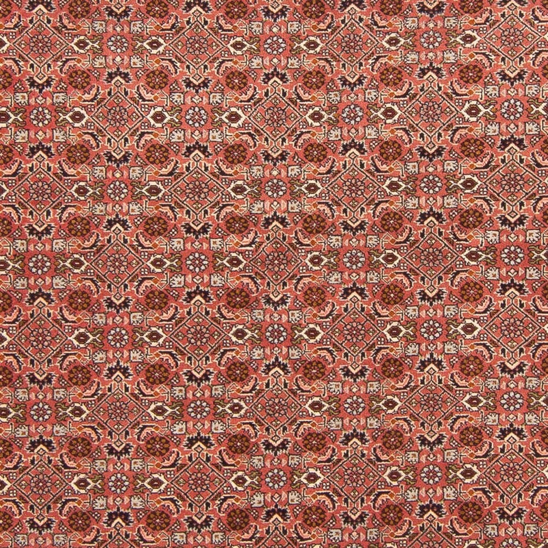 Tappeto Persero - Bidjar - 288 x 202 cm - rosso