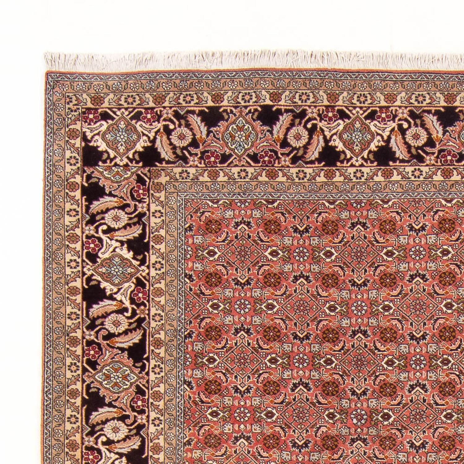 Tappeto Persero - Bidjar - 288 x 202 cm - rosso