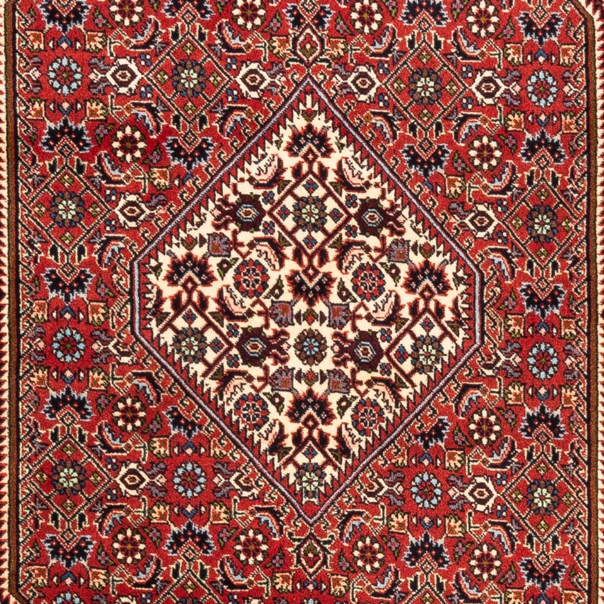 Tappeto Persero - Bidjar - 179 x 110 cm - rosso