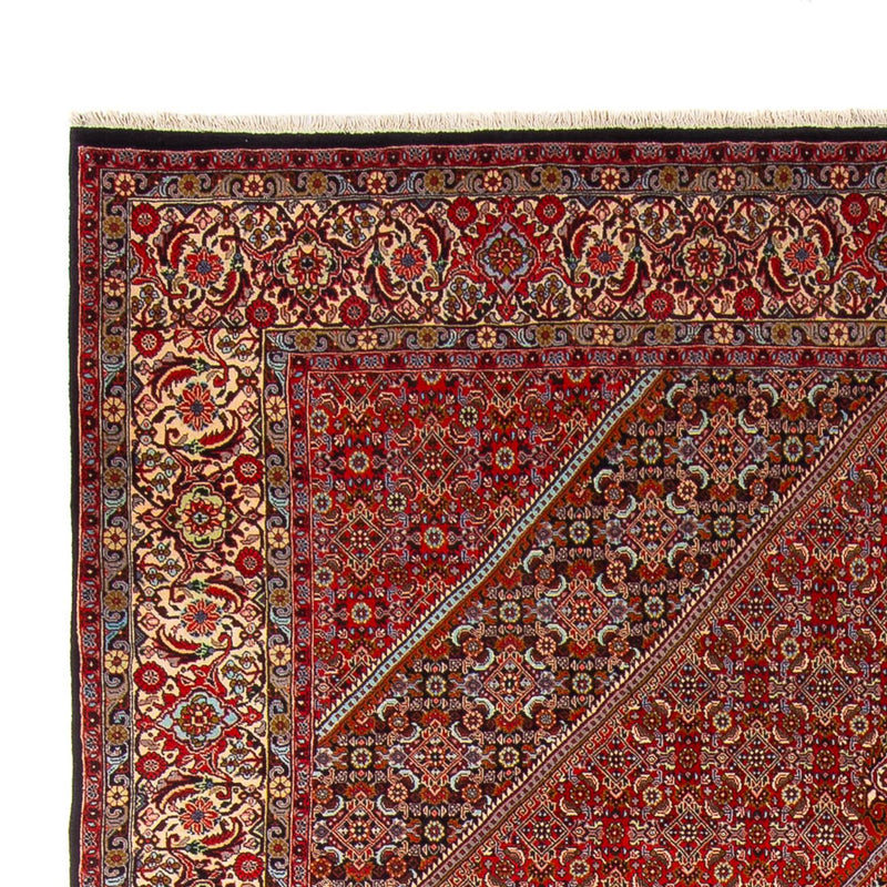Tappeto Persero - Bidjar - 341 x 248 cm - rosso