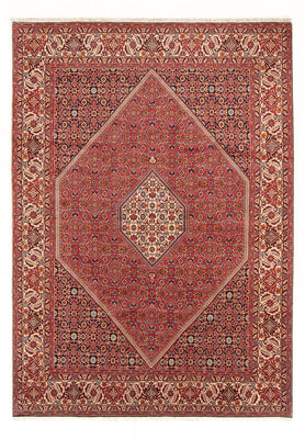 Tappeto Persero - Bidjar - 293 x 206 cm - rosso