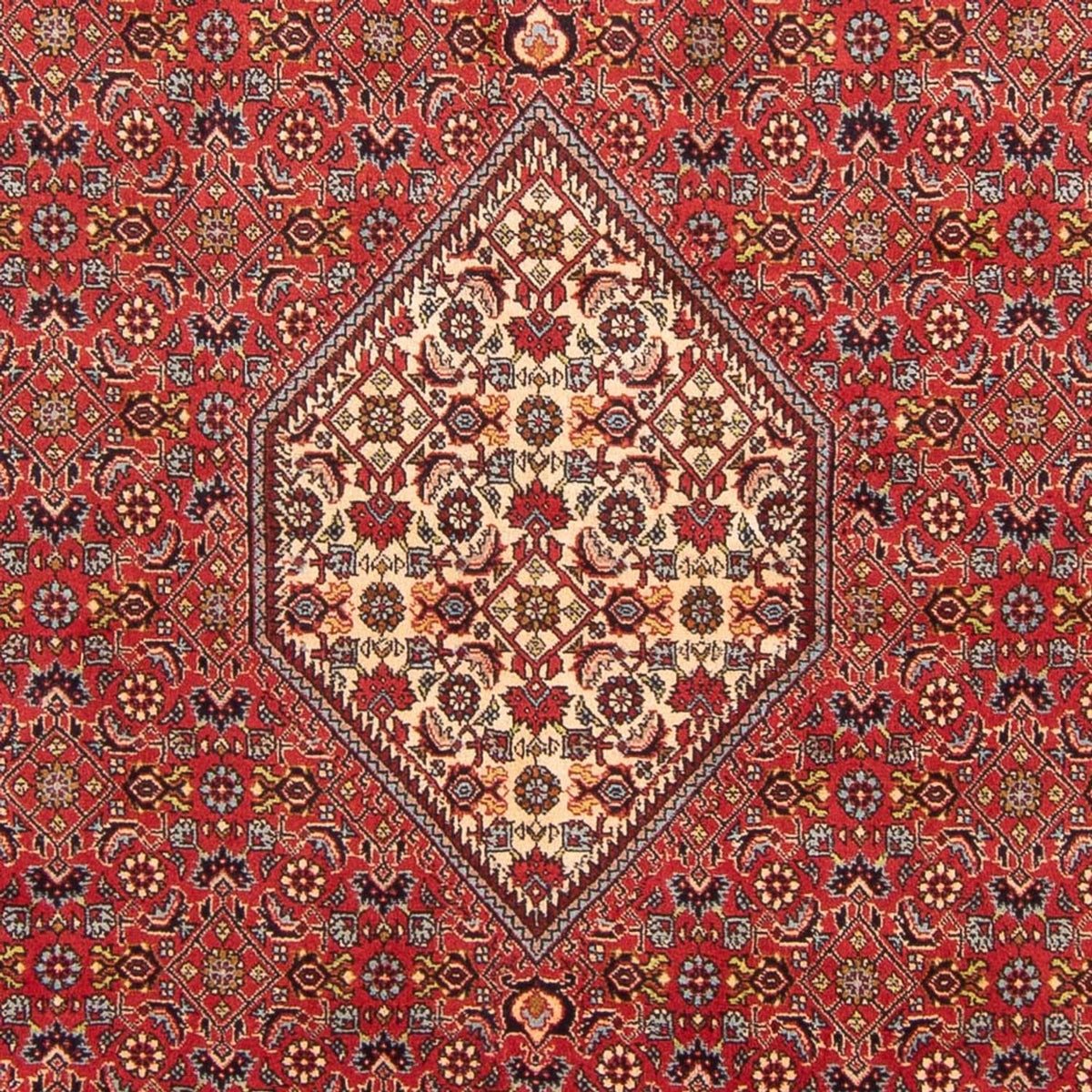 Tappeto Persero - Bidjar - 293 x 206 cm - rosso