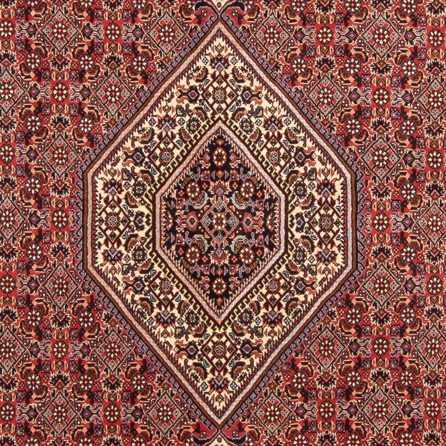 Tappeto Persero - Bidjar - 294 x 200 cm - rosso