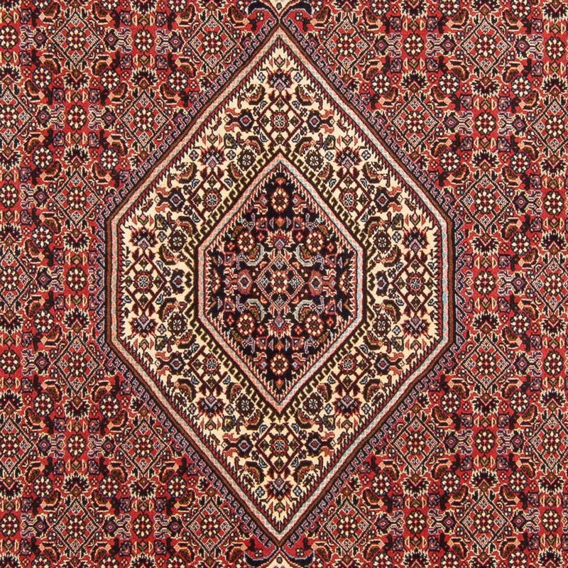 Tappeto Persero - Bidjar - 294 x 200 cm - rosso
