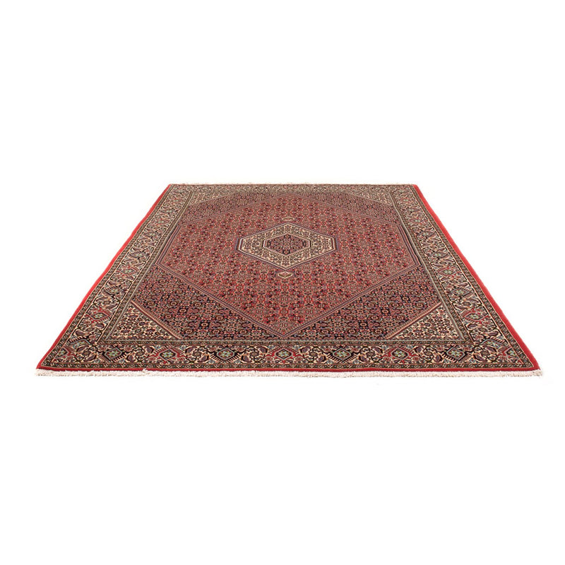 Tappeto Persero - Bidjar - 294 x 200 cm - rosso