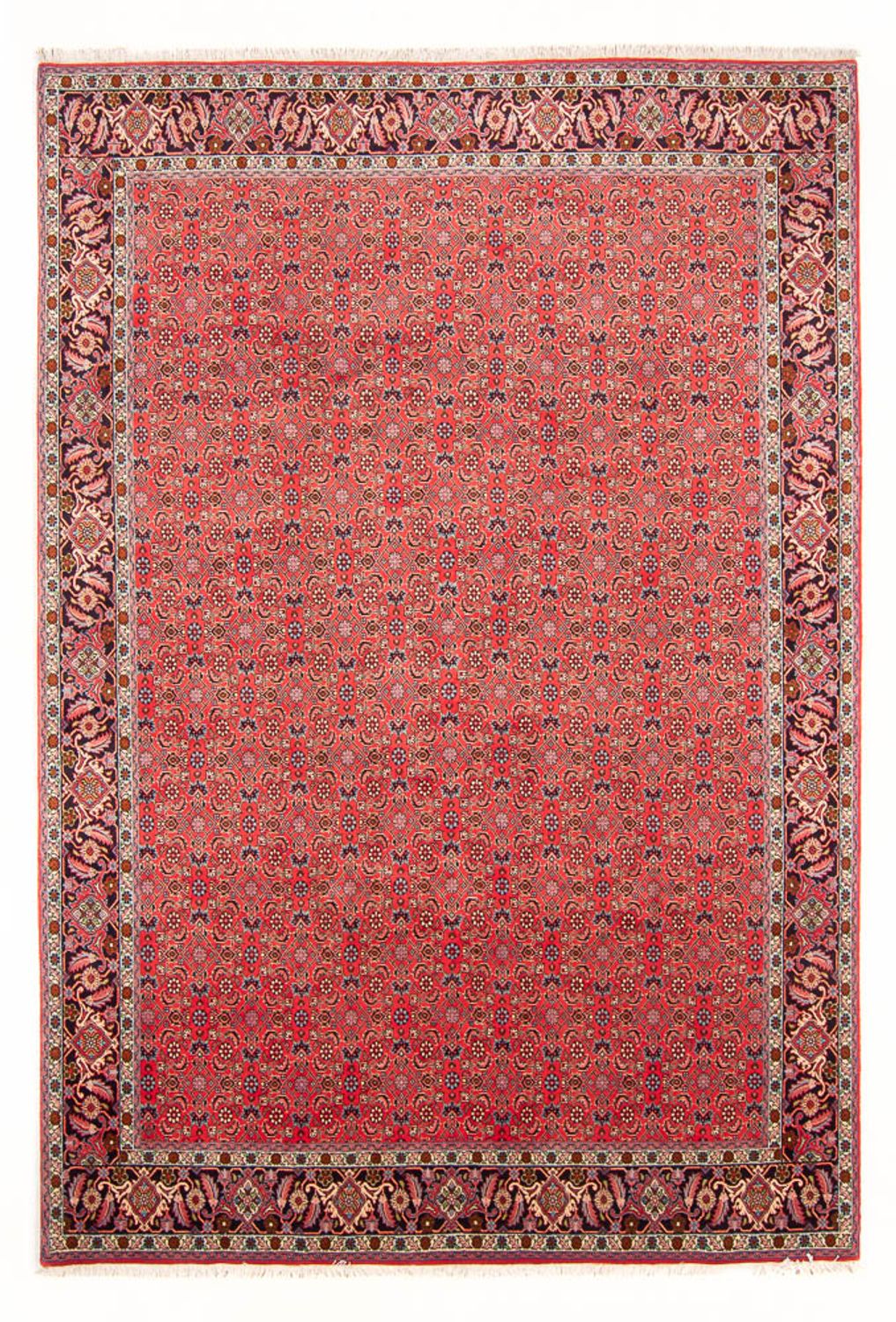Tappeto Persero - Bidjar - 294 x 200 cm - rosso