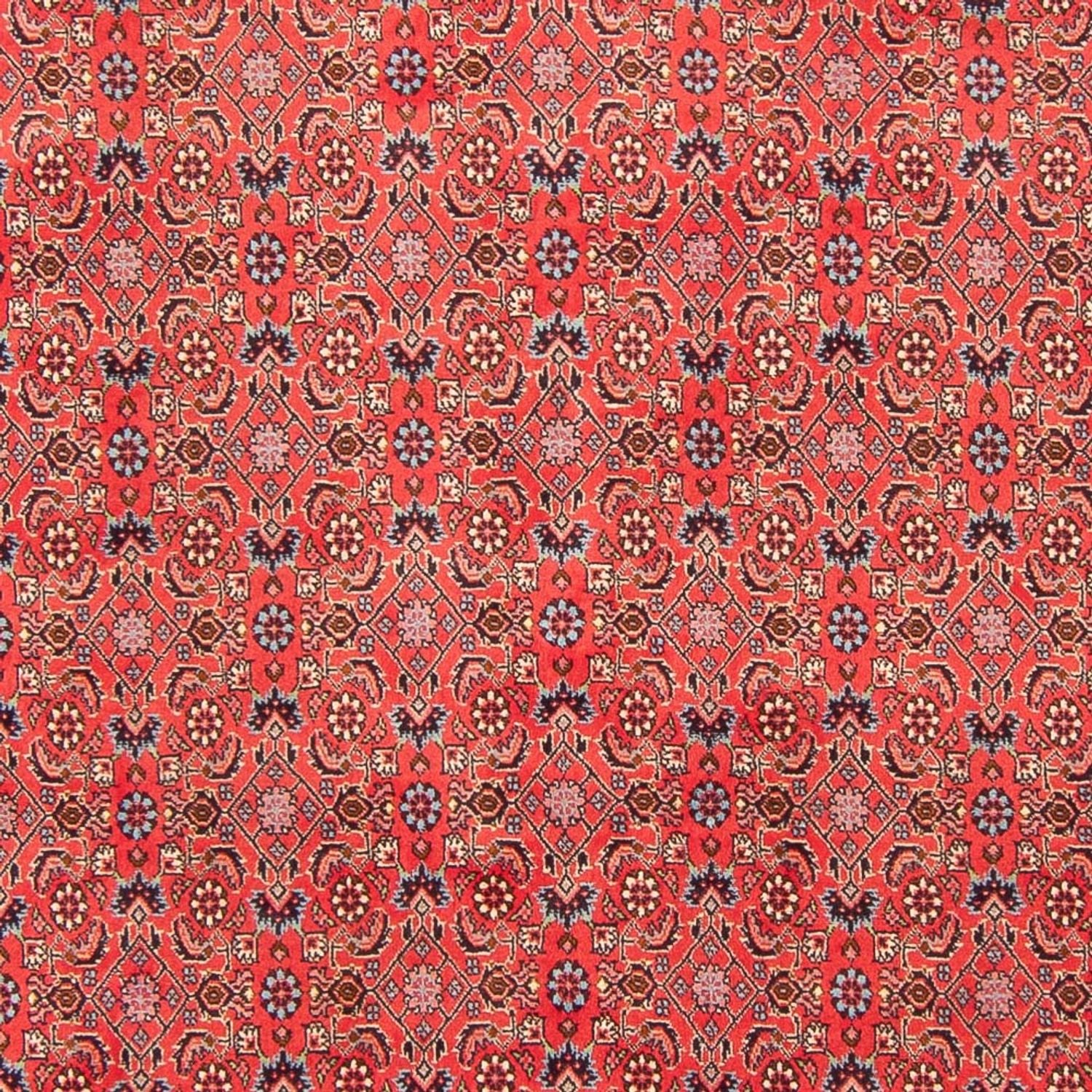 Tappeto Persero - Bidjar - 294 x 200 cm - rosso