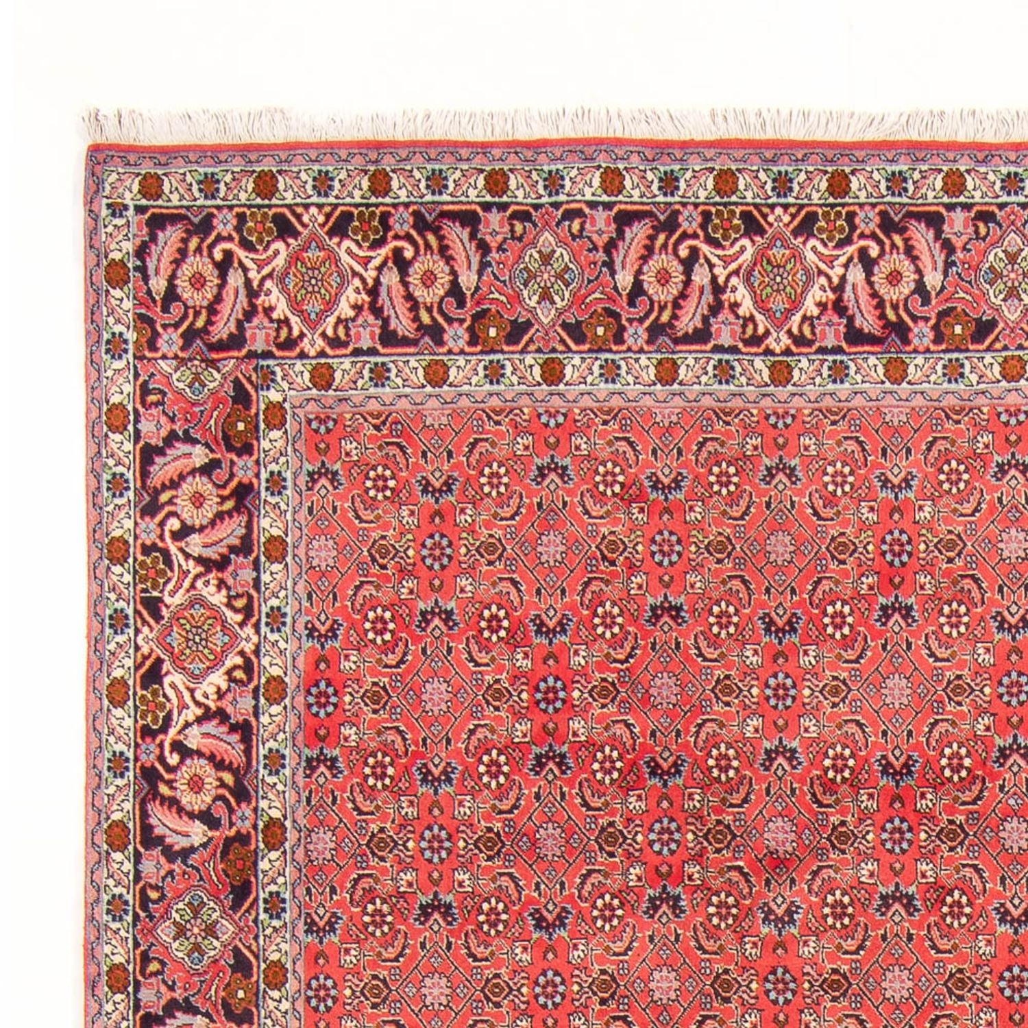 Tappeto Persero - Bidjar - 294 x 200 cm - rosso