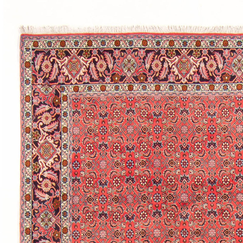 Tappeto Persero - Bidjar - 294 x 200 cm - rosso