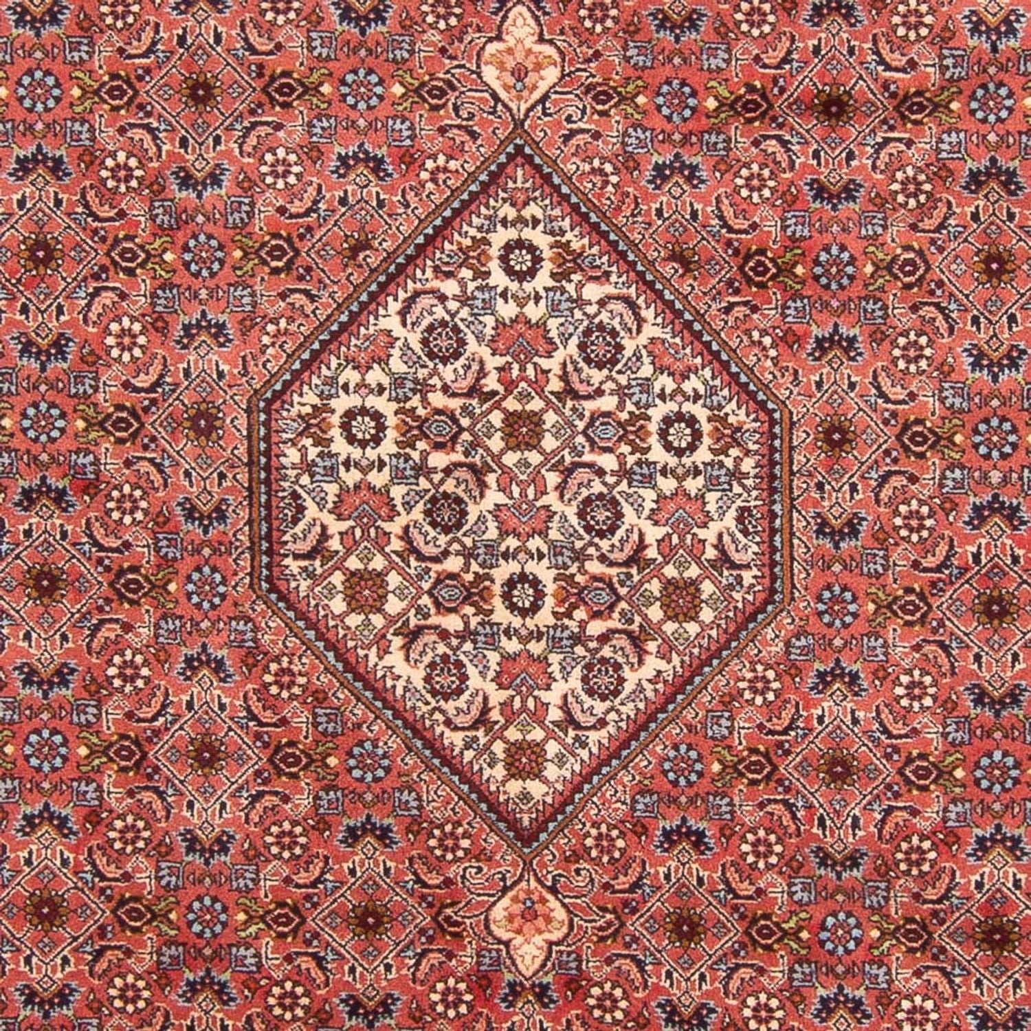 Tappeto Persero - Bidjar - 290 x 204 cm - rosso