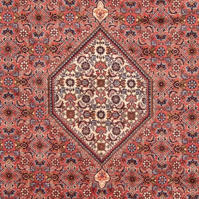 Tappeto Persero - Bidjar - 290 x 204 cm - rosso