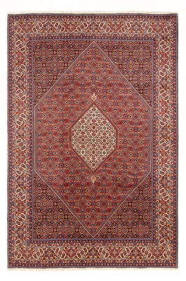 Tappeto Persero - Bidjar - 303 x 200 cm - rosso