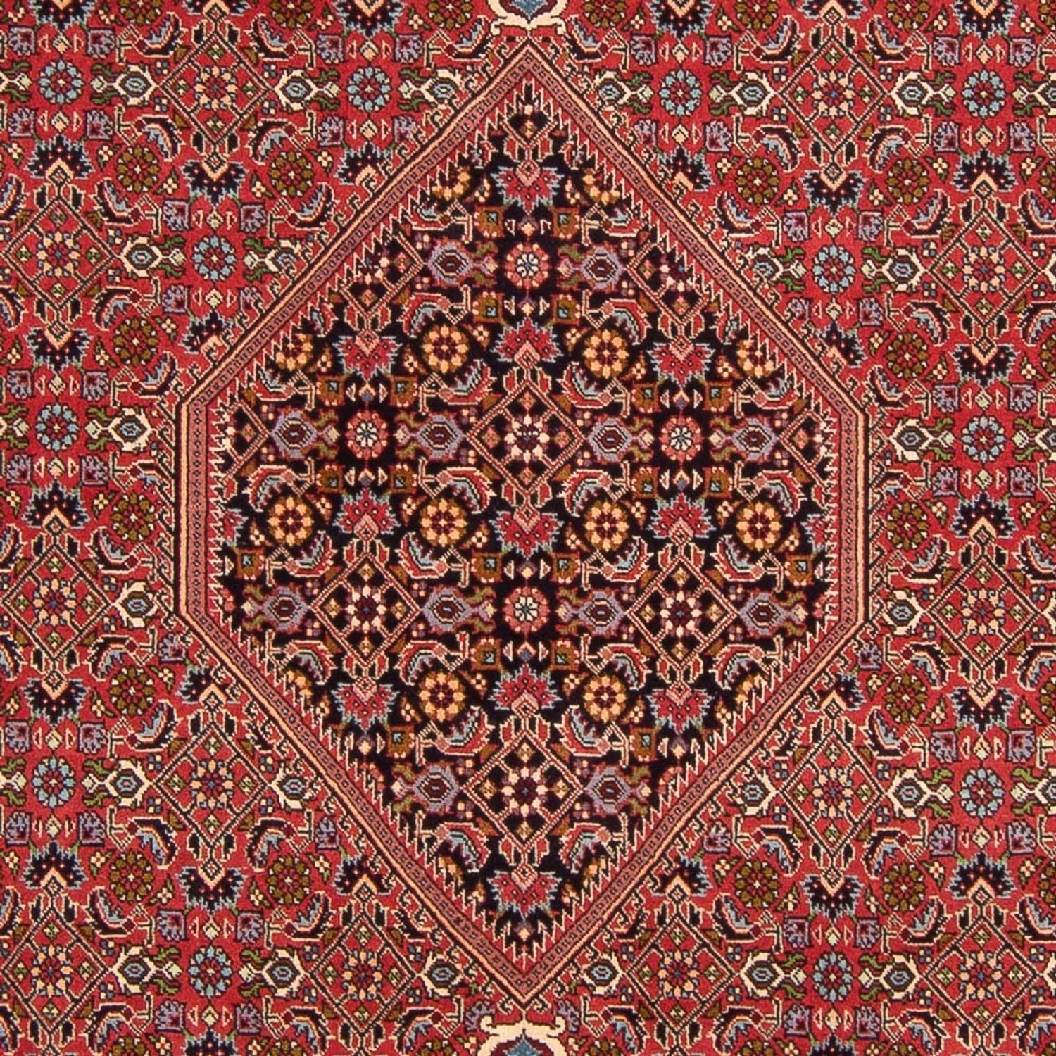 Tappeto Persero - Bidjar - 307 x 200 cm - rosso