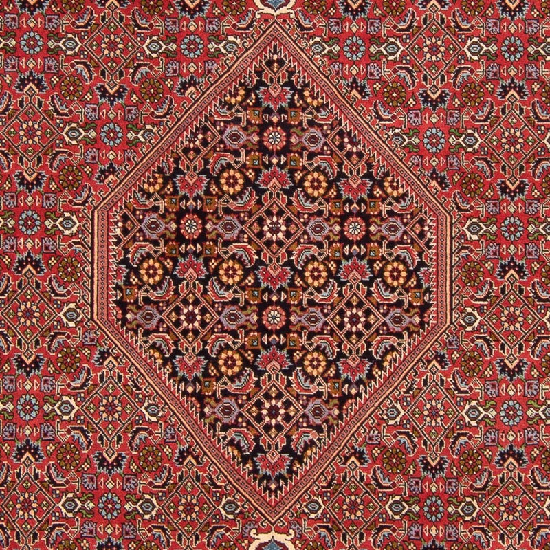 Tappeto Persero - Bidjar - 307 x 200 cm - rosso