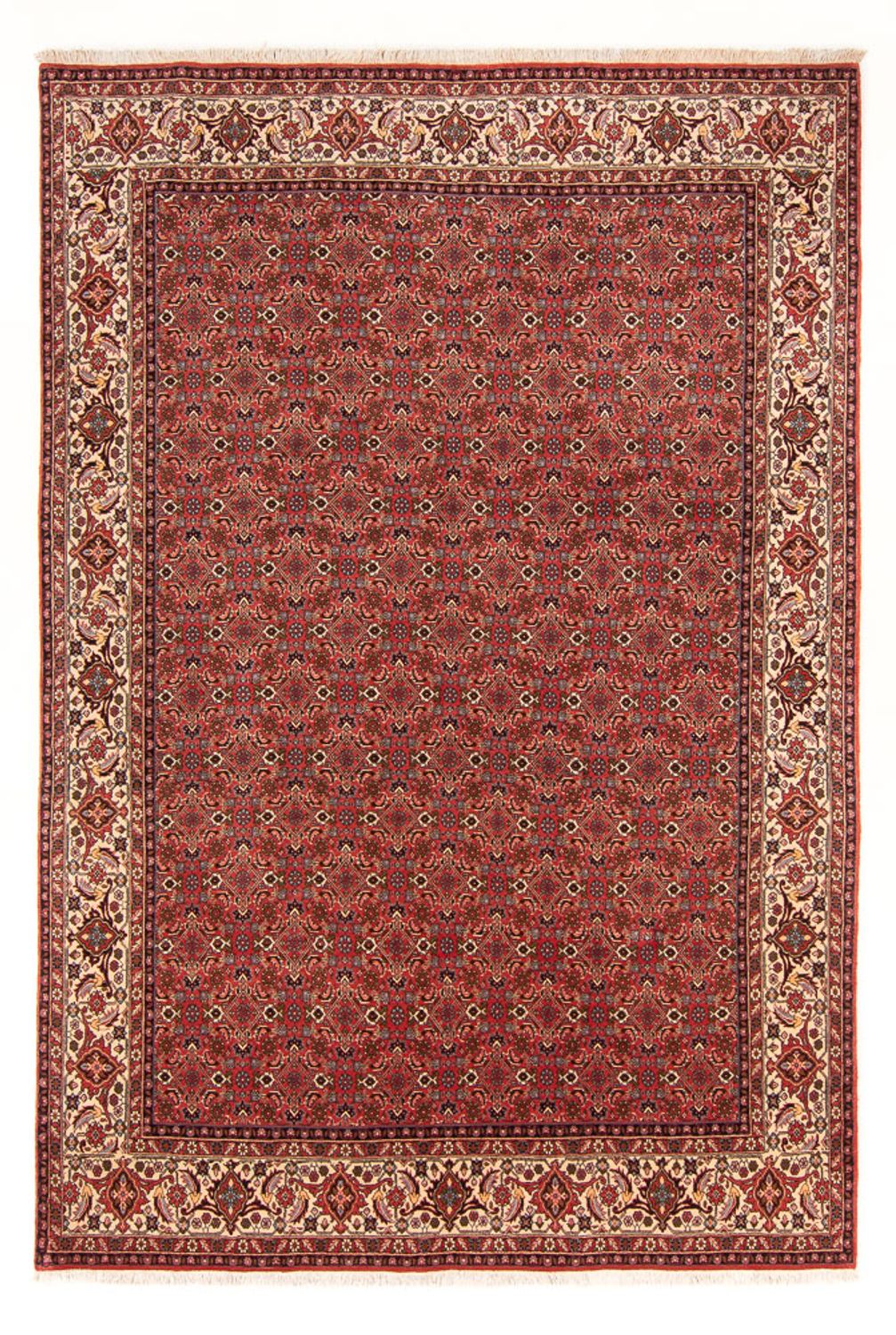 Tappeto Persero - Bidjar - 289 x 195 cm - rosso