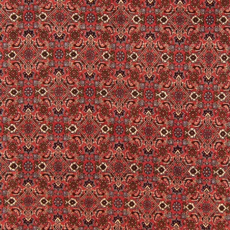 Tappeto Persero - Bidjar - 289 x 195 cm - rosso