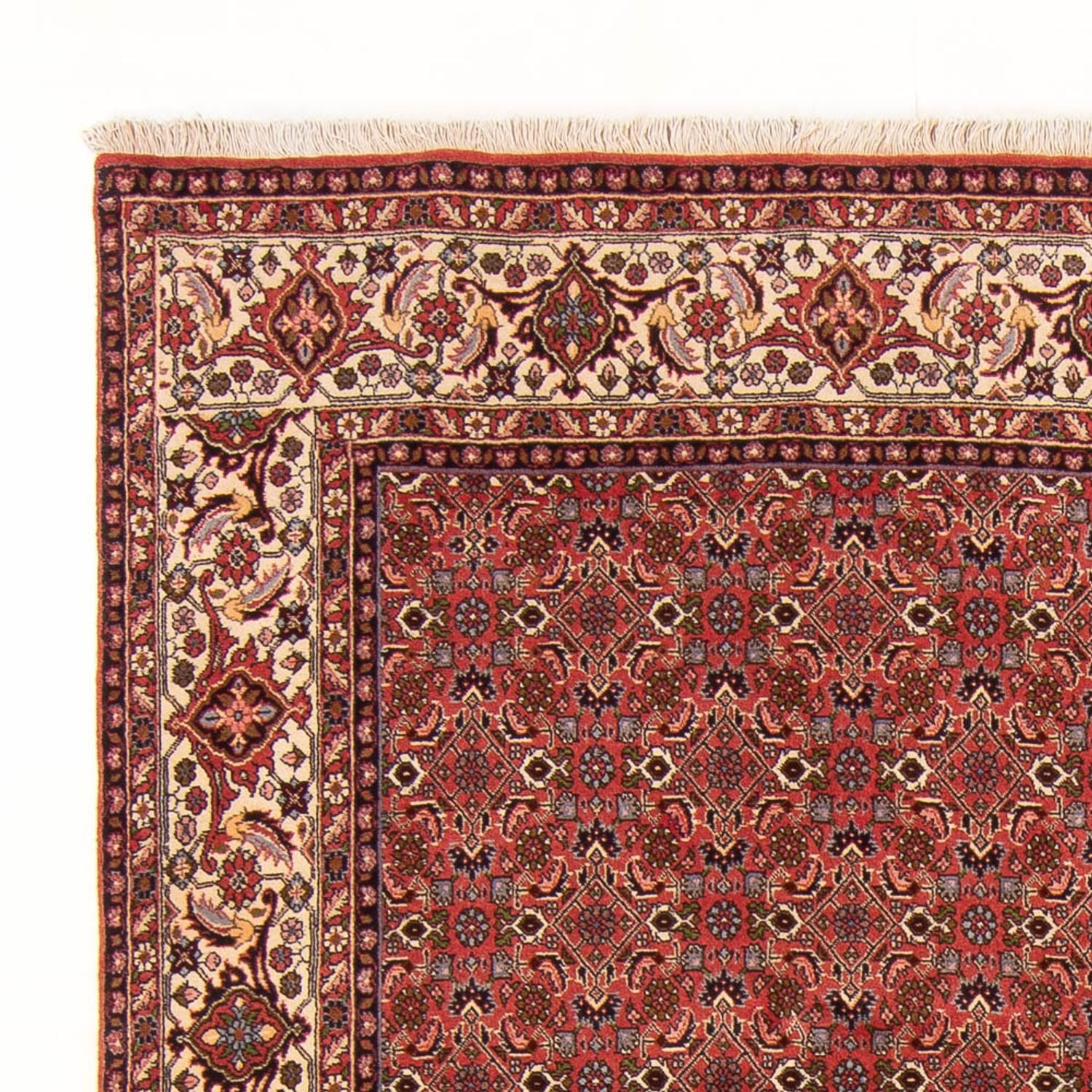 Tappeto Persero - Bidjar - 289 x 195 cm - rosso