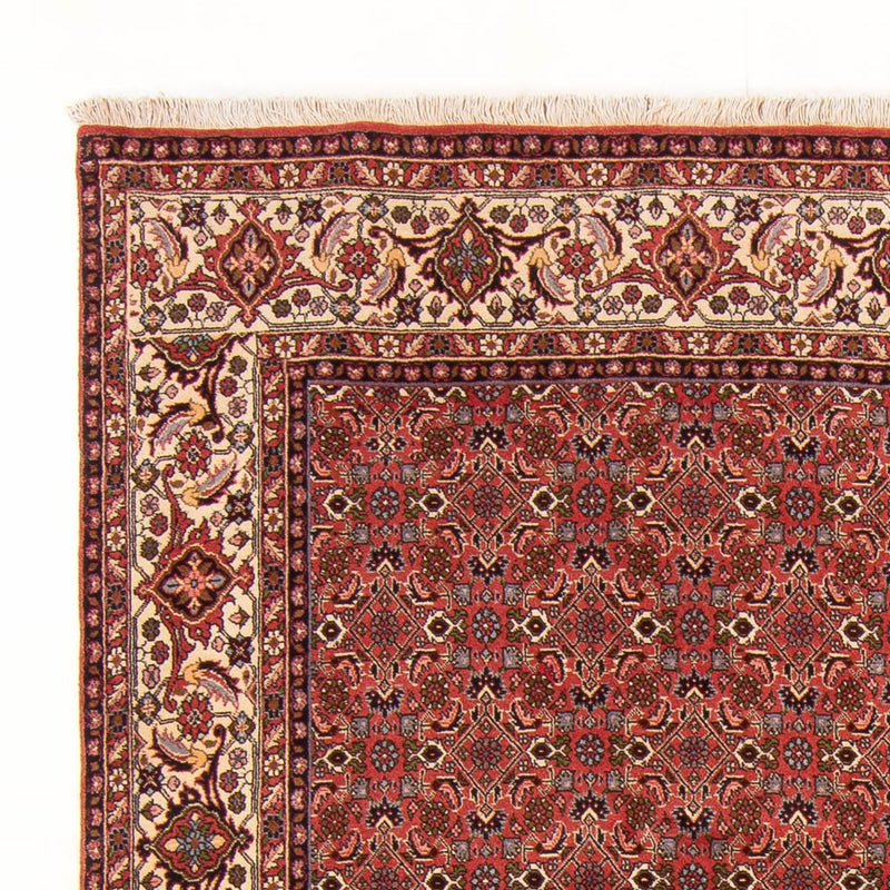 Tappeto Persero - Bidjar - 289 x 195 cm - rosso
