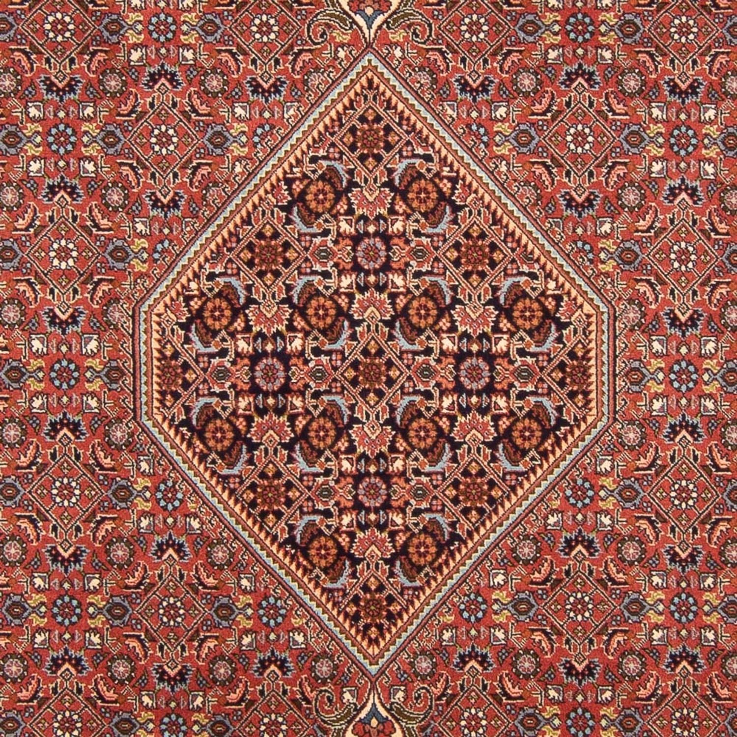 Tappeto Persero - Bidjar - 296 x 197 cm - rosso