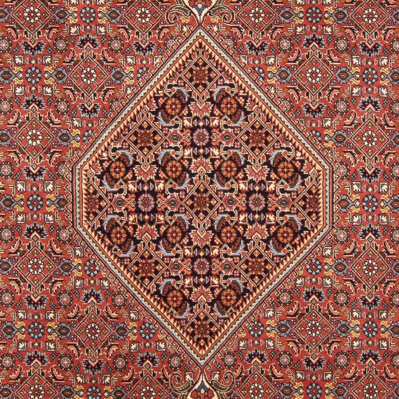 Tappeto Persero - Bidjar - 296 x 197 cm - rosso