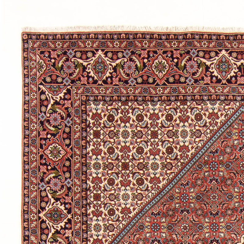 Tappeto Persero - Bidjar - 296 x 197 cm - rosso