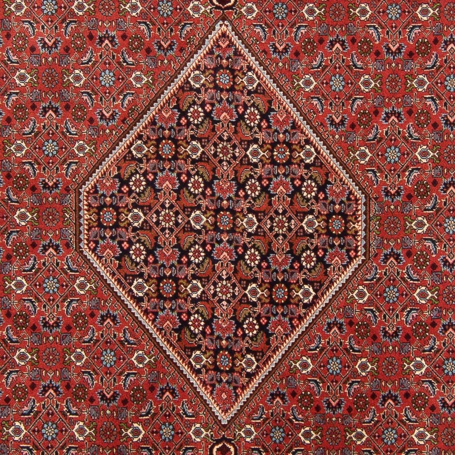 Tappeto Persero - Bidjar - 310 x 200 cm - rosso