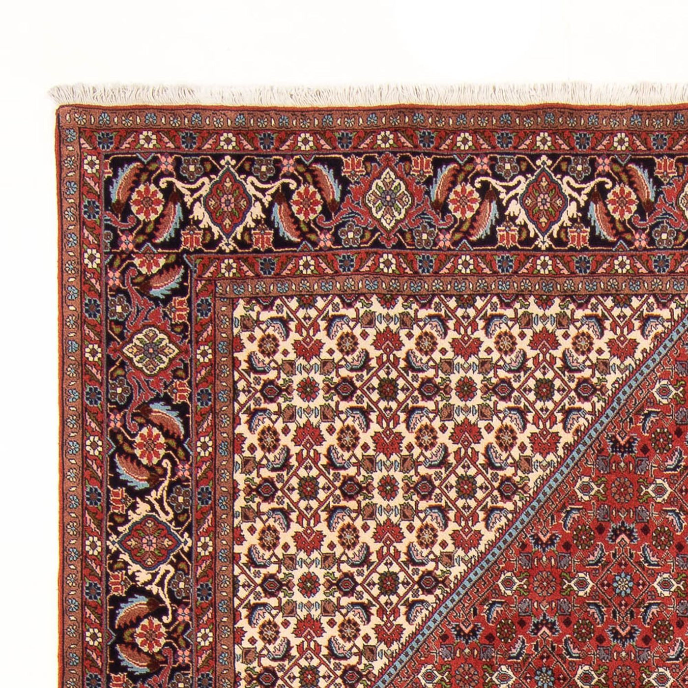 Bidjar - Bukan Tappeto 310x200cm - Tappeto persiano