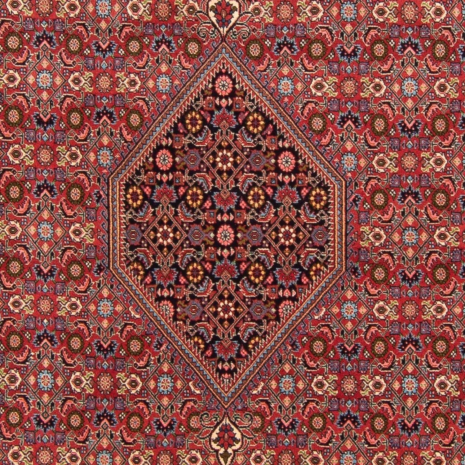Tappeto Persero - Bidjar - 302 x 199 cm - rosso
