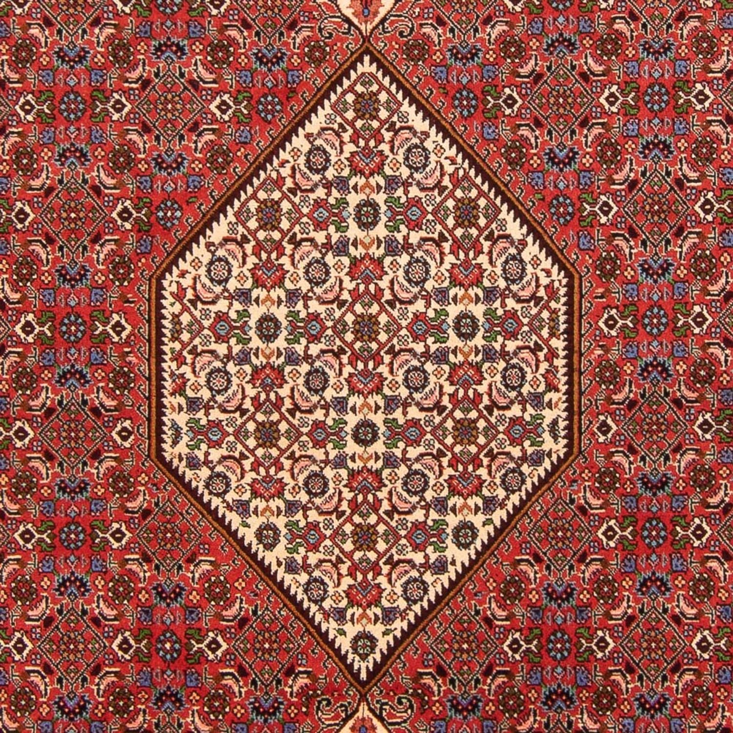 Tappeto Persero - Bidjar - 300 x 200 cm - rosso