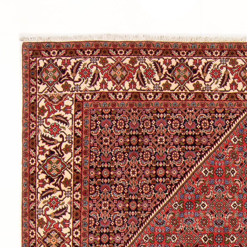 Tappeto Persero - Bidjar - 300 x 200 cm - rosso