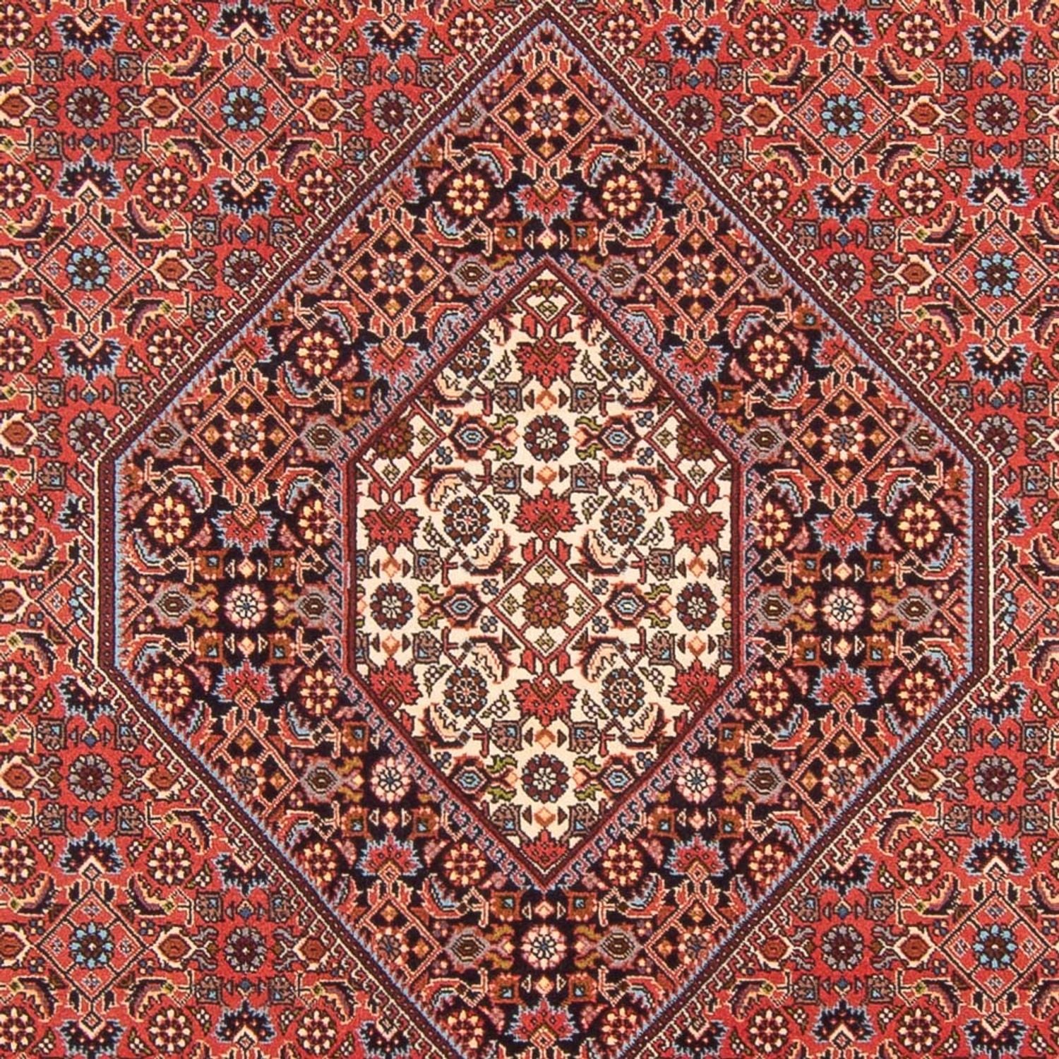 Tappeto Persero - Bidjar - 298 x 200 cm - rosso