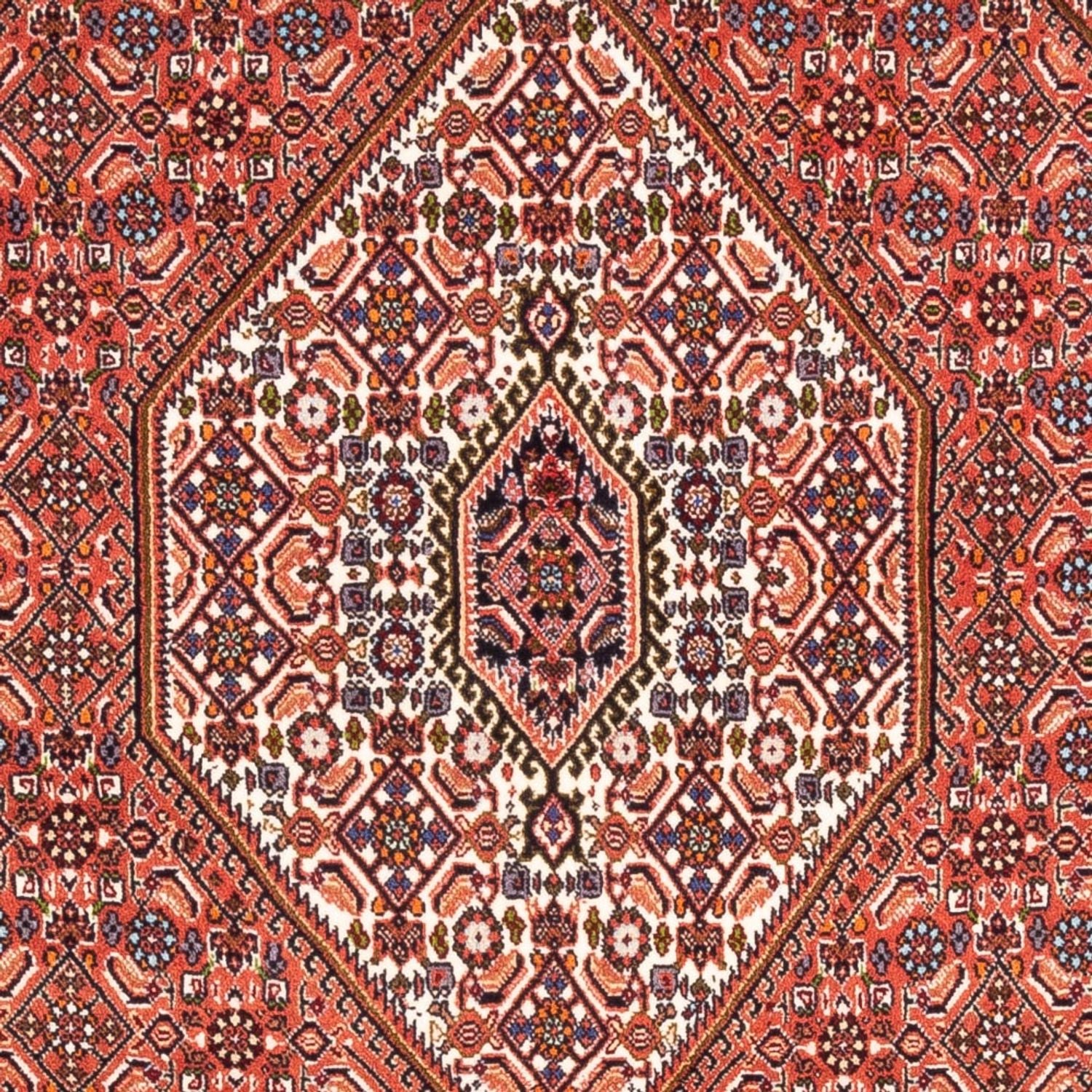 Tappeto Persero - Bidjar - 187 x 114 cm - rosso