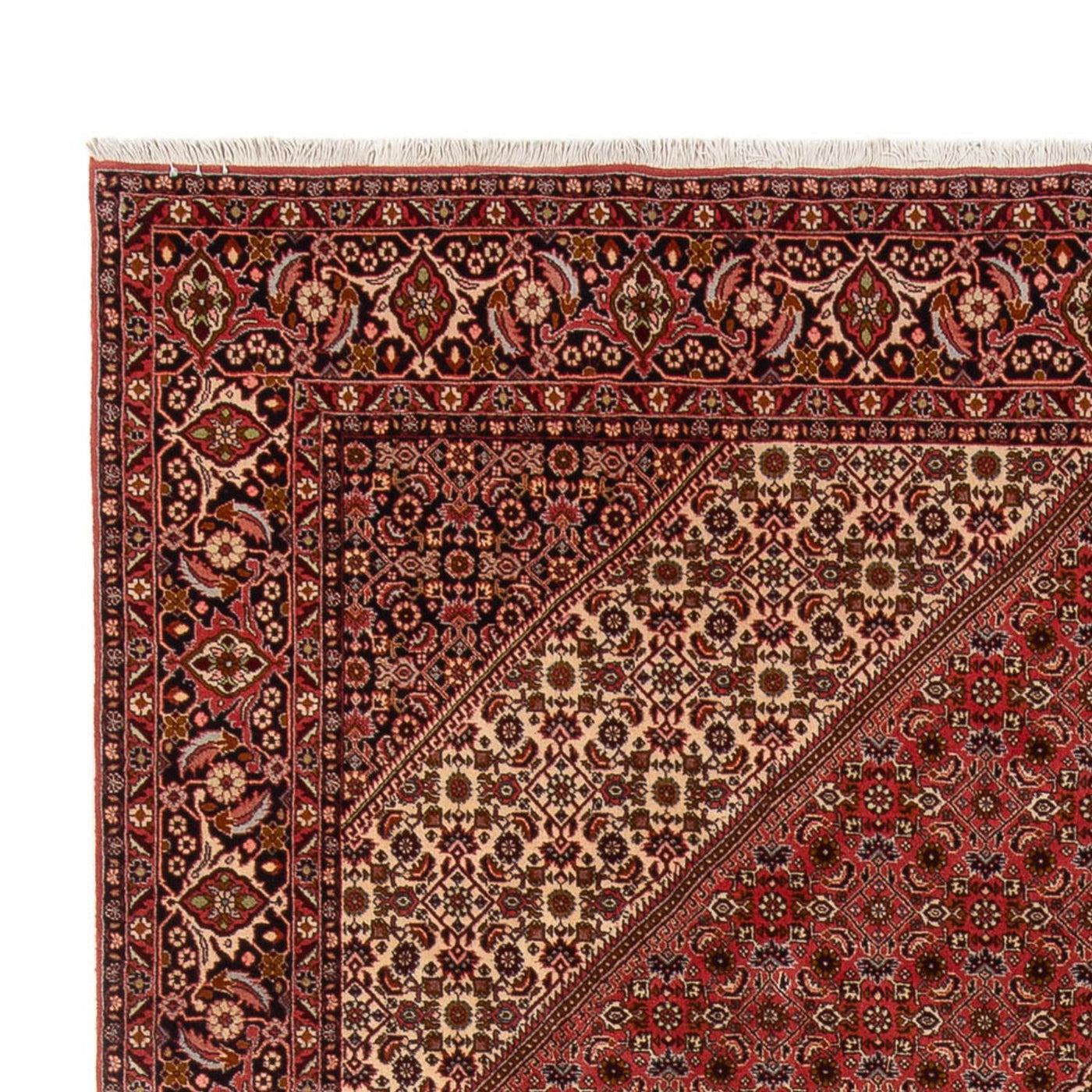 Bidjar - Bukan Tappeto 350x250cm - Tappeto persiano