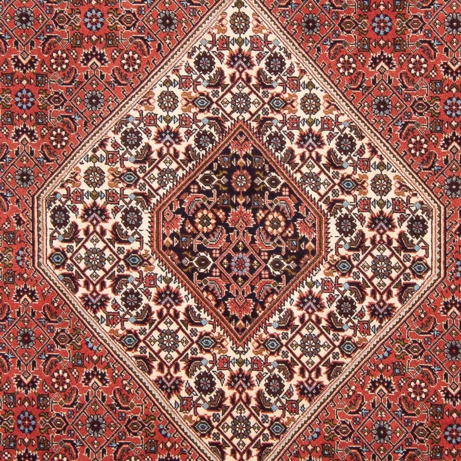 Tappeto Persero - Bidjar - 288 x 200 cm - rosso